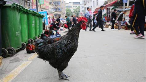 早市_早市最新消息,新闻,图片,视频_聚合阅读_新浪网