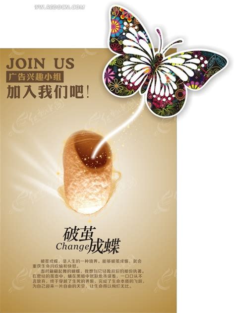 破茧成蝶广告兴趣小组海报CDR素材免费下载_红动中国