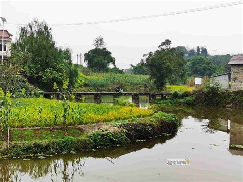 探访自贡历史建筑之富顺板桥镇张坝桥__财经头条