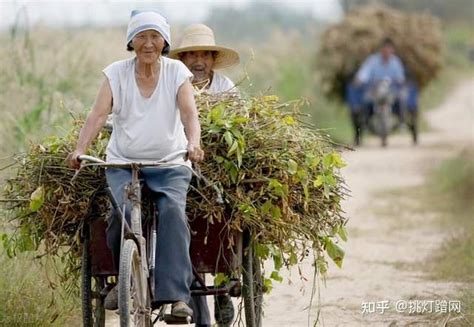 大量农村年轻人不愿种地，这没关系——中国未来不会缺少种地农民
