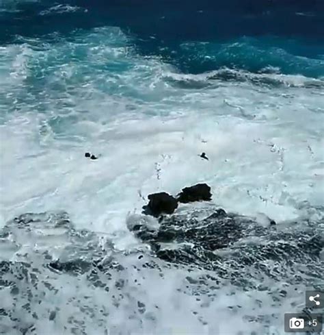 视频青岛两游客被大浪卷入海中.zip - 保险意义 -万一保险网