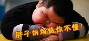 我家有个小胖墩，胖宝宝养育指南——中国教育在线学前频道