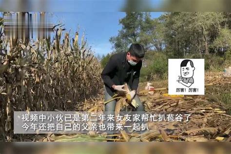 山东聊城：玉米机收正酣-人民图片网