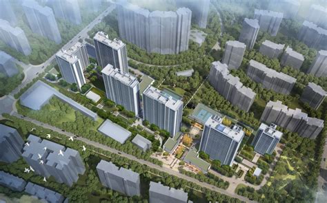 长宁八八中心项目通过二星级运行阶段标识认定专家审查会-协会动态 - 上海市绿色建筑协会