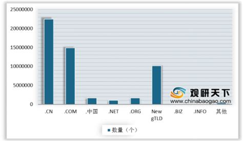 2019年中国互联网基础建设现状分析：IP地址数量及出口带宽数均增长_观研报告网