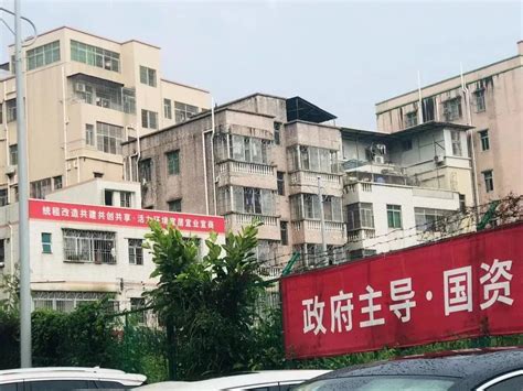 深圳坪河雅苑等3个市级公租房配租对象2022-深圳办事易-深圳本地宝