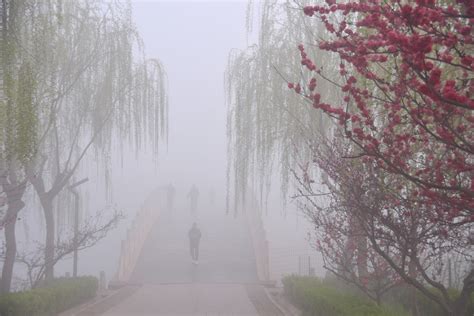 雾里看花 航拍重庆云雾里的杜鹃花 - 炫酷航拍 - 新湖南