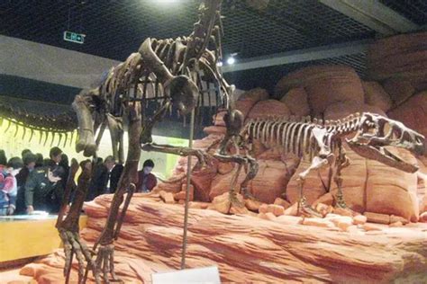 中国发现了一只活恐龙 中国发现活恐龙是真的吗