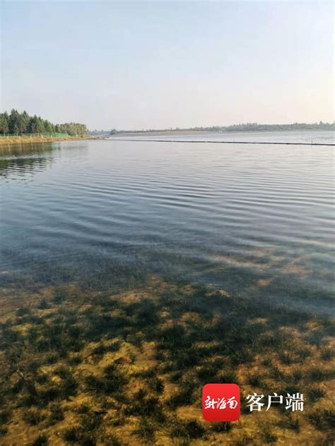 水生态治理修复篇-长湖生态