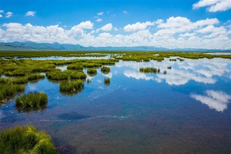 2022四川阿坝景点旅游半价优惠汇总_旅泊网