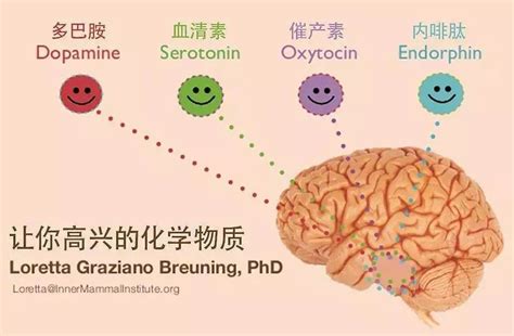 多巴胺是由脑内什么结构分泌的 - 业百科