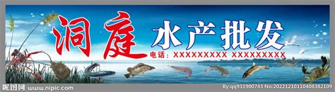 加拿大北极虾批发市场广告牌：第一弹沈阳于洪水产市场！__凤凰网