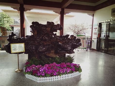 国内第一奇石馆，石都柳州，馆藏精品奇石数千件