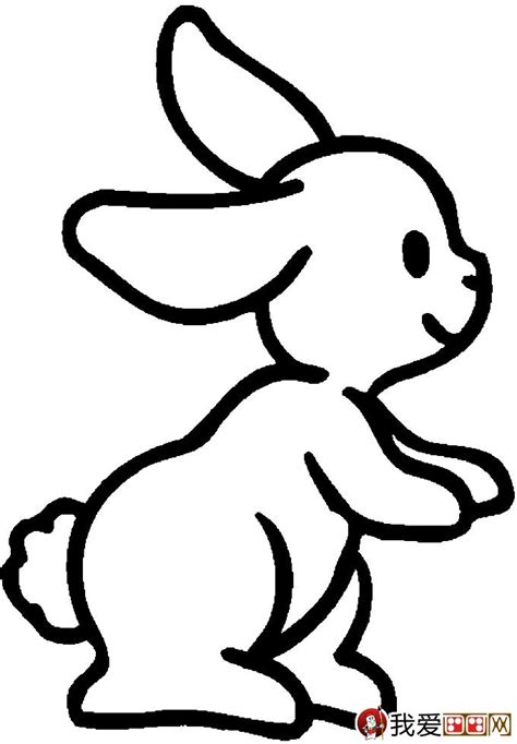 【简笔画】手把手教你画小白兔 - 知乎