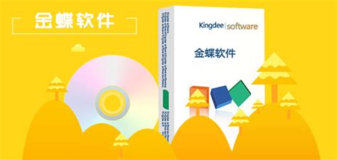 金蝶KIS 专业版 -财务包-金蝶软件