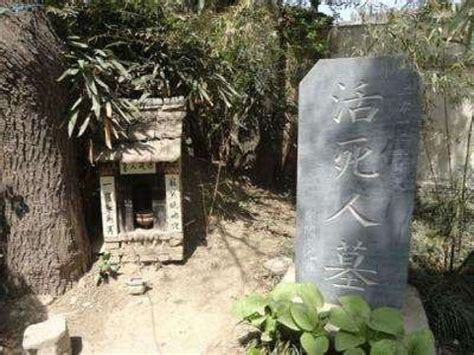 你知道吗? 原来中国真的有活死人墓, 它就在贵州的这个地方！|贵州|活死人墓|夜郎_新浪新闻