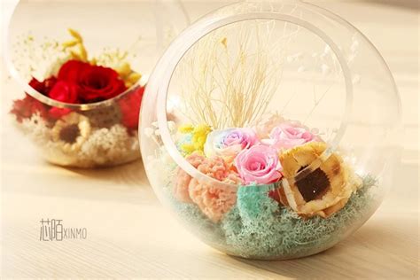 永生花图片