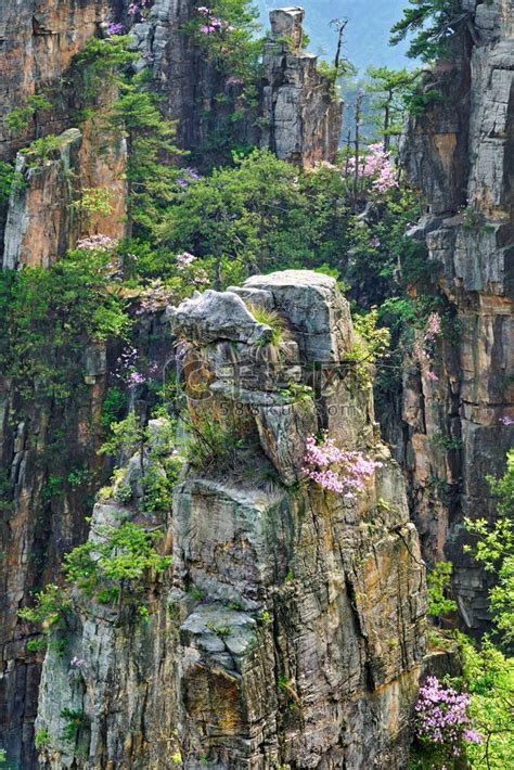 中国著名旅游胜地-中国湖南武陵源日落时的张家界石柱悬崖山。山峦峡谷高清摄影大图-千库网