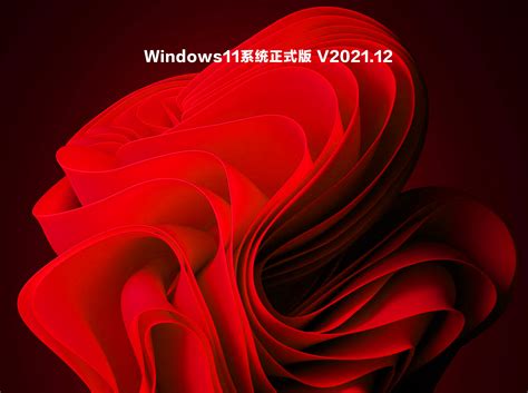 [官方 MVS(MSDN)][Windows 10 VB-21H2] 2022年8月 映像更新 - 19044.1889 | 瑞邦电脑