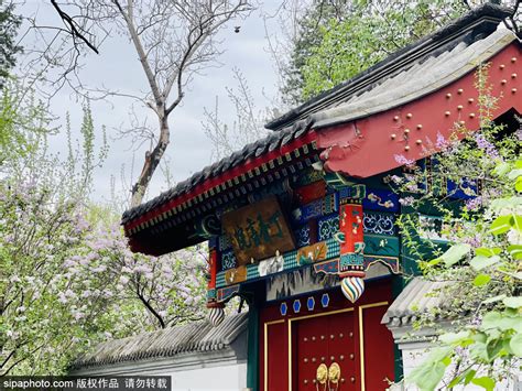 北京宣武医院、石景山区贩子联系方式《提前预约很靠谱》的简单介绍