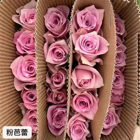 99朵玫瑰礼盒-99朵玫瑰，如图用白玫瑰做成“LOVE”字样。-全国送货上门优惠价格:1495元-168鲜花速递网。