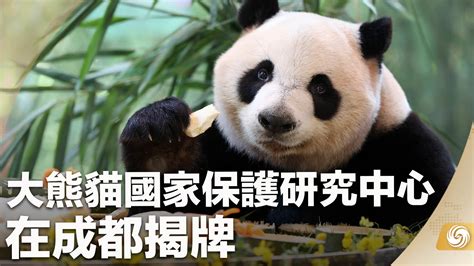 分享丨成都熊猫基地扩建细节进来了解下，明年5月上新！_湃客_澎湃新闻-The Paper