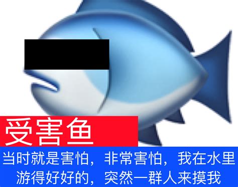 鱼表情包图片