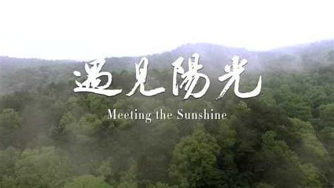 仙桃二中形象宣传片《遇见阳光》