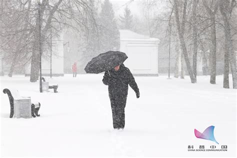 今冬北方首场大范围雨雪来袭：长春、哈尔滨等地或迎入冬初雪_手机新浪网