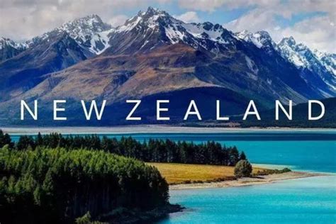 2022年5月23日起自新西兰赴华人员登机前检测措施调整_旅泊网
