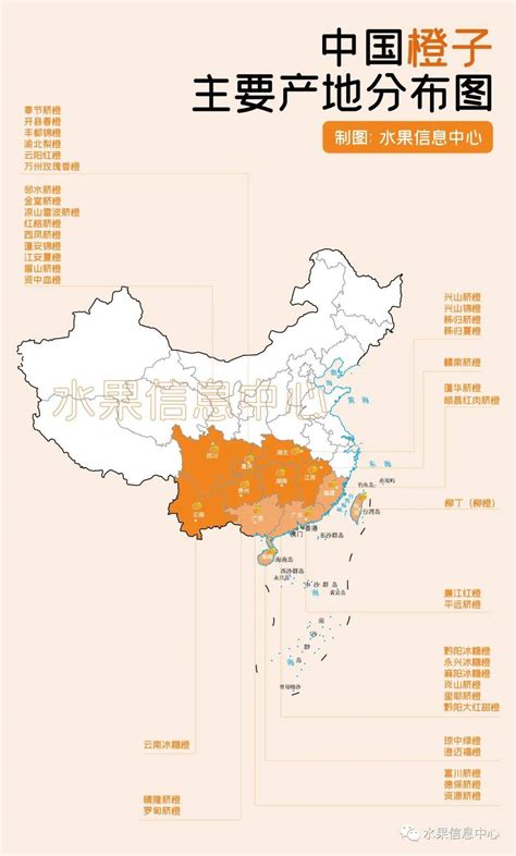 一份中国橙子主要产地分布图_脐橙