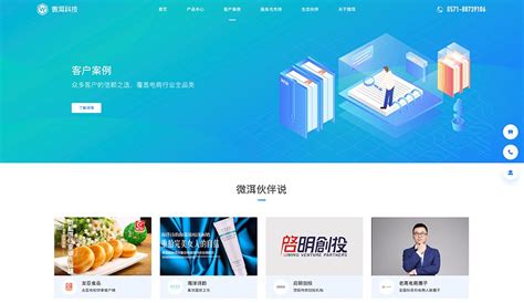 杭州专业网站设计的公司排名(杭州网站设计制作)_V优客
