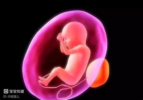 辟谣：双顶径能看出胎儿性别？别迷信了！看看科学解读 - 百度宝宝知道