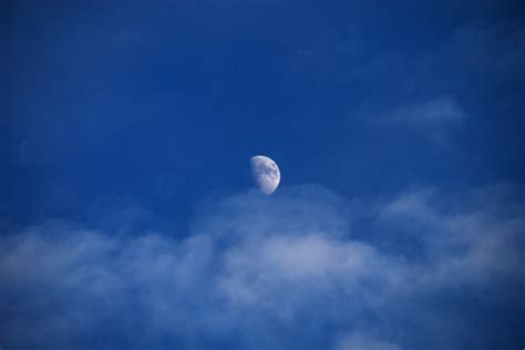 重磅！天水夜空惊现“蓝月亮＋红月亮＋超级月亮”(图)--天水在线