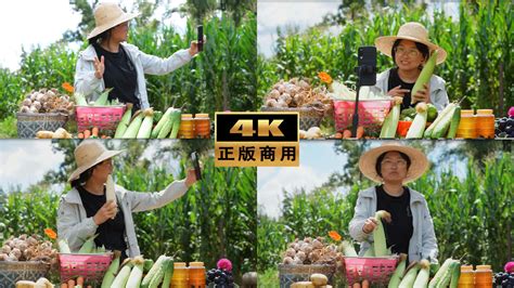 搜狐网：直新农电商直播中心助力学生创就业-苏农新闻网