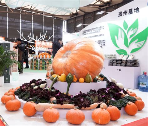 2024农品展|第13届上海国际现代农业品牌展览会|上海农产品展|上海农博会|农博会|农业展|功能性农业展|智慧农业展|上海食品展