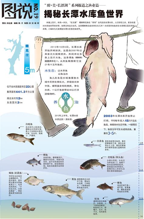 有口福了！北京地道的野生密云水库鱼，开渔啦！_养殖鱼