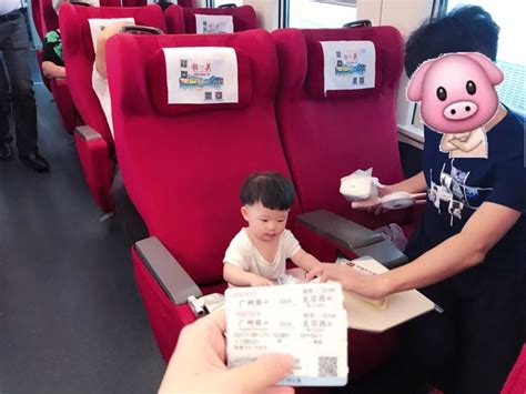 婴儿坐高铁（春节带三个月大婴儿坐长途高铁）-幼儿百科-魔术铺