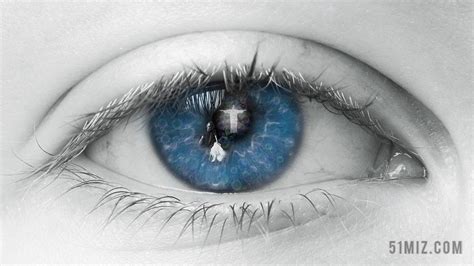 蓝色眼睛5k图片_图片编号1409-壁纸网