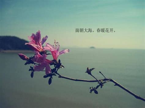 【春暖花开季节之060－068摄影图片】生态摄影_太平洋电脑网摄影部落