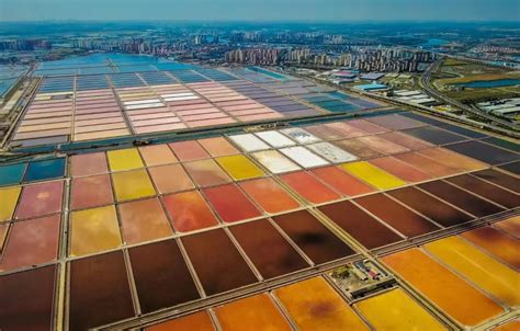 文化随行-天津市长芦汉沽盐场获批国家工业旅游示范基地