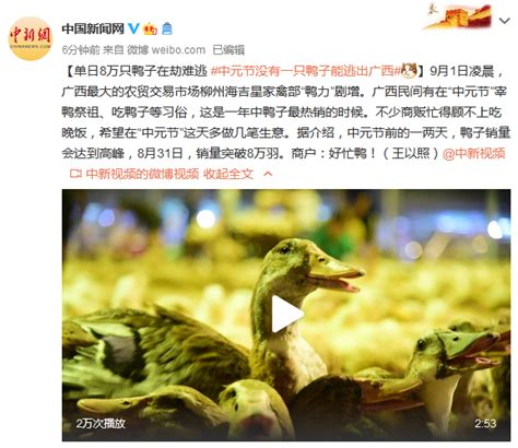 单日8万只鸭子在劫难逃 中元节没有一只鸭子能逃出广西