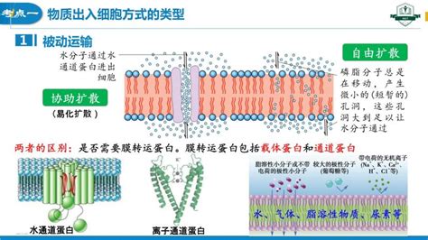 钠离子电池层状氧化物研究取得重要进展 - 中国科学院物理研究所