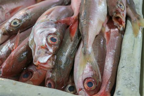 市场上的冰鲜鱼高清图片下载-正版图片506060603-摄图网