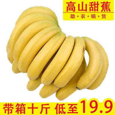 【原生态】芭蕉大蕉plantain高蕉非海南香蕉新鲜水果3斤包邮_虎窝淘