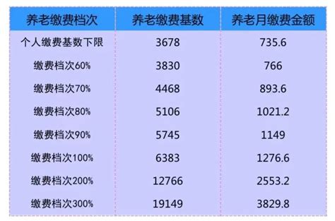2022年社保缴费明细表湖北省(湖北公布2022年社会保险缴费基数：标准是多少，每月要交多少钱？) | 说明书网