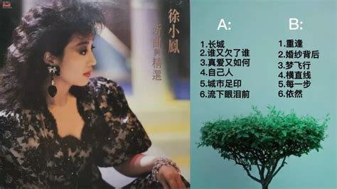 69岁徐小凤近照，香港红磡一年43场演唱会创纪录，为做中国人与老公离婚_艺人