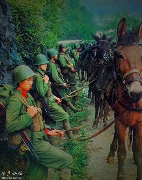 对越自卫反击战彩照 - 图说历史|国内 - 华声论坛