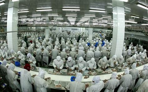 大型食品加工厂高清图片下载-正版图片600306147-摄图网