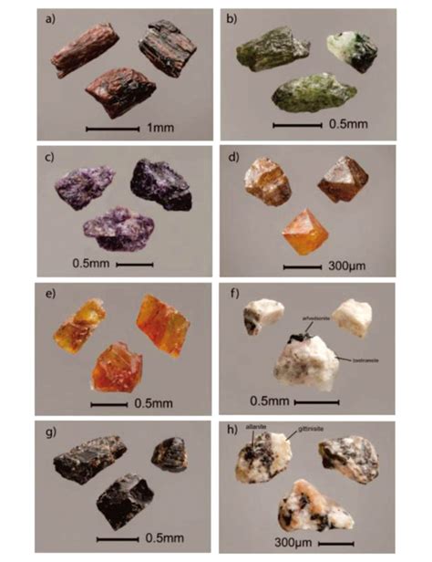 矿物自动分析系统在碳酸岩型稀土地球化学勘查中的应用